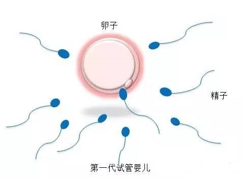 景泰生殖医学中心